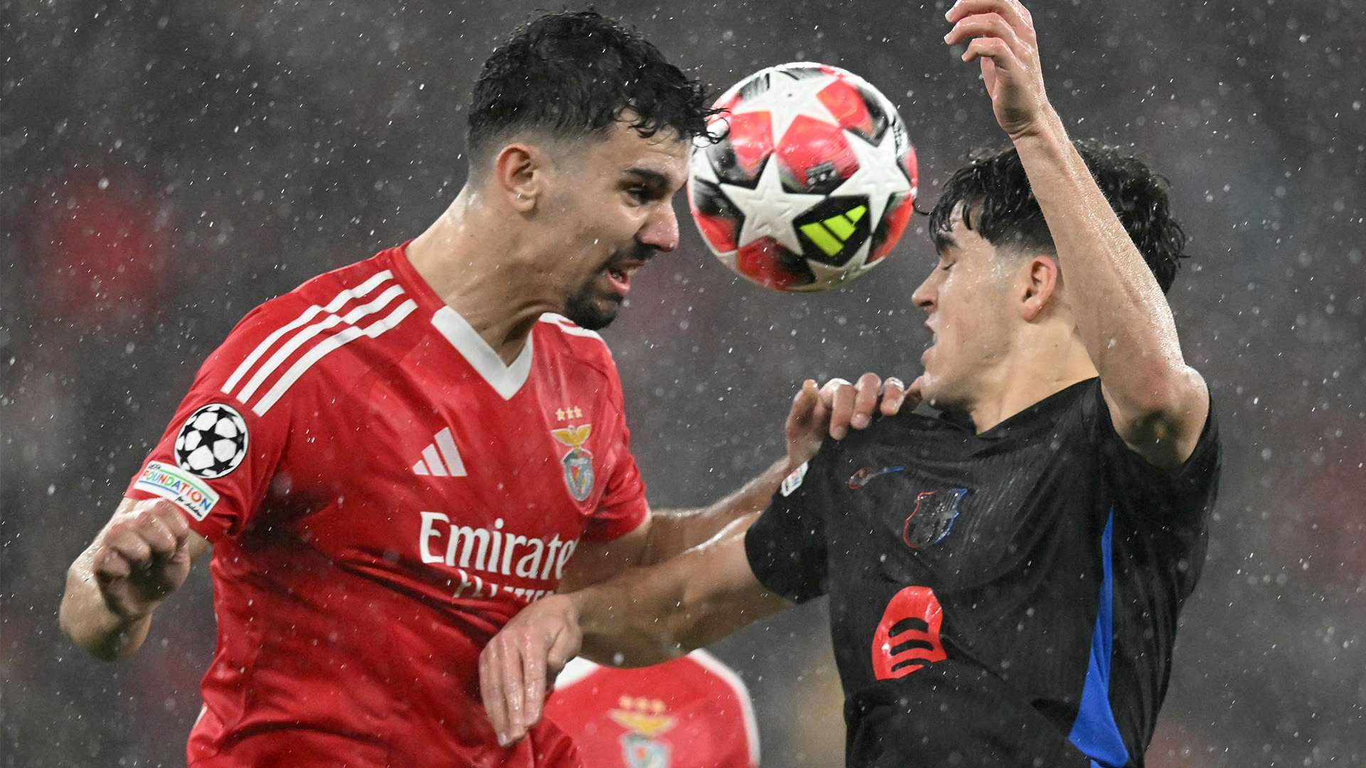 比赛的观赏 比赛的观赏